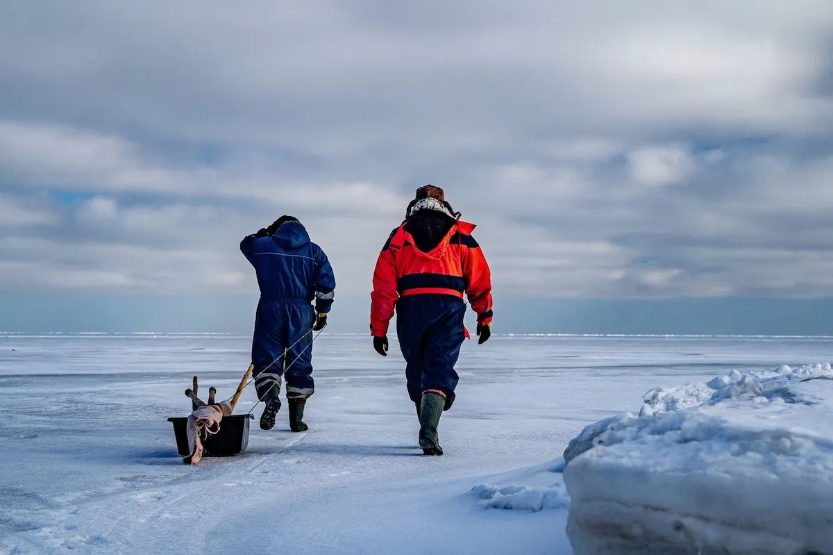 Ekspert jagab nõuandeid, kuidas nutitelefoniga karge ilmaga Pärnut pildistada