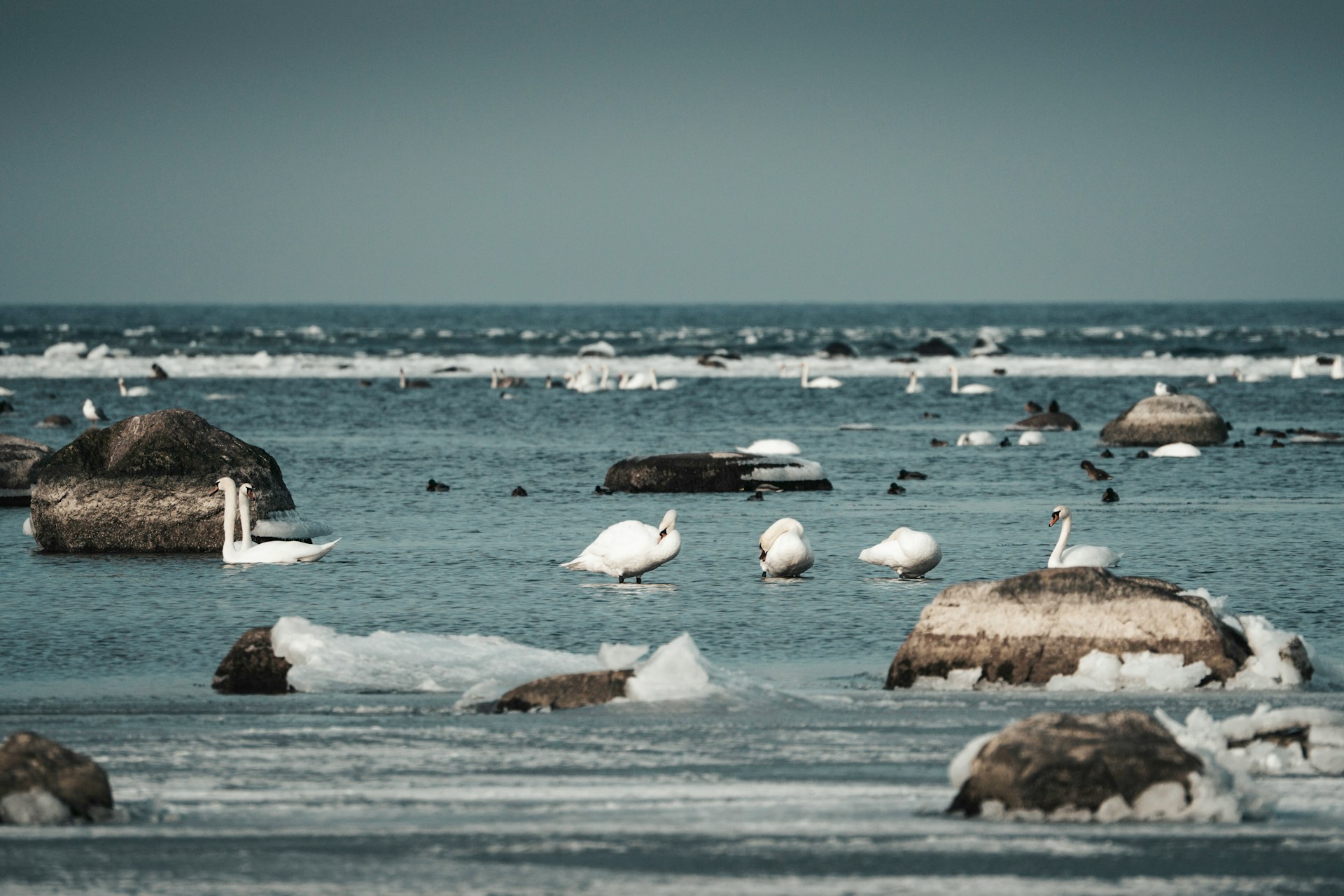 Kuidas niiske mereõhu ja külma talvega toime tulla? Praktilised hügieenisoovitused Pärnu rahvale